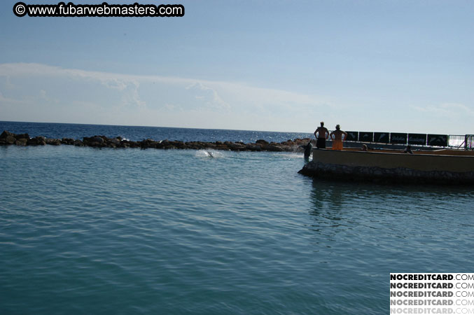 Encounter the Dolphins 2003