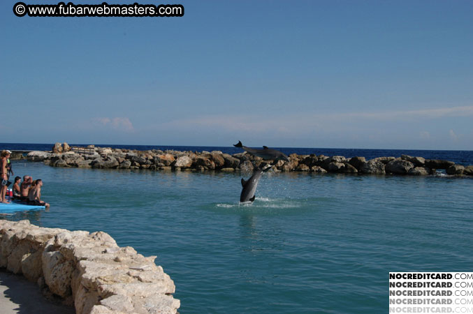 Encounter the Dolphins 2003