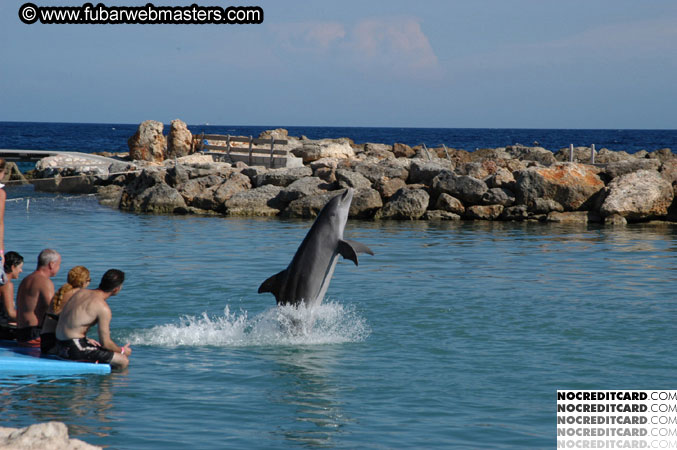 Encounter the Dolphins 2003