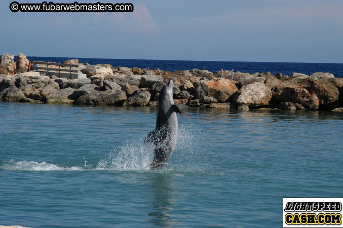 Encounter the Dolphins 2003