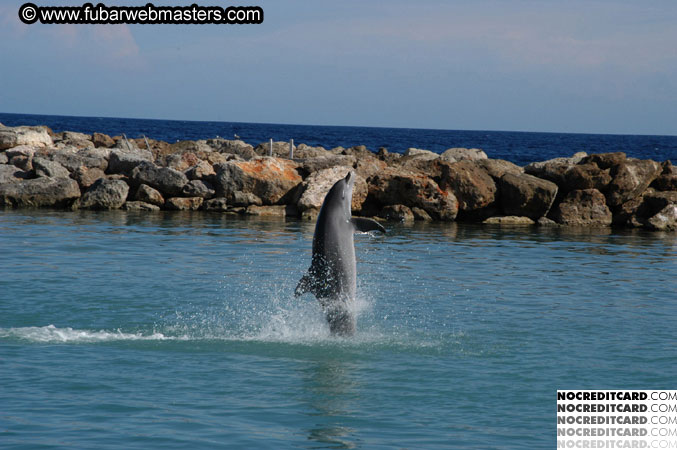 Encounter the Dolphins 2003