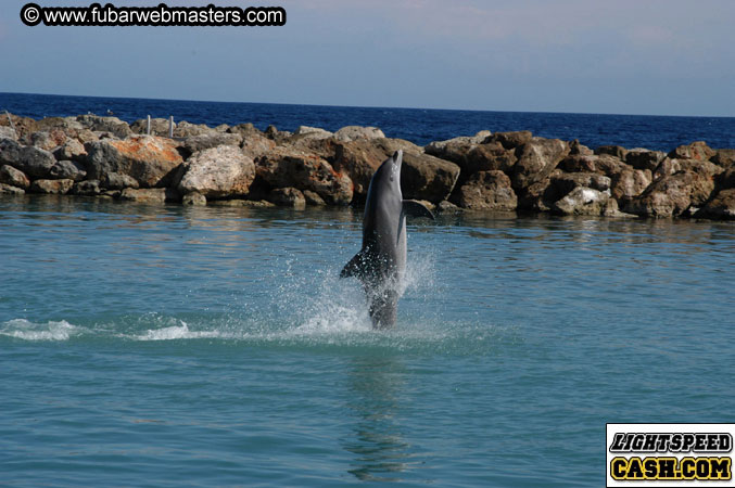 Encounter the Dolphins 2003