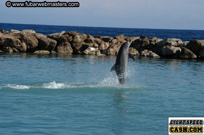 Encounter the Dolphins 2003