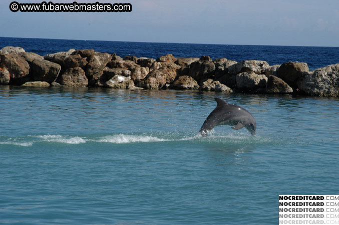 Encounter the Dolphins 2003