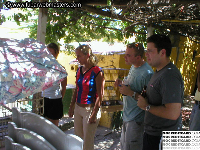 Bonaire Snorkeling 2003