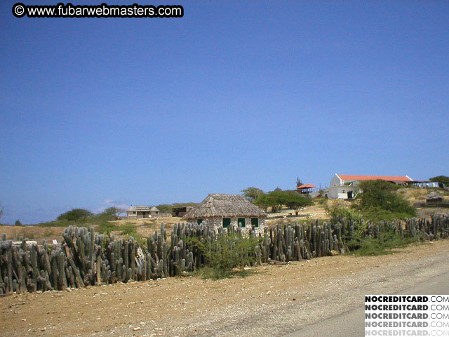 Bonaire Snorkeling 2003