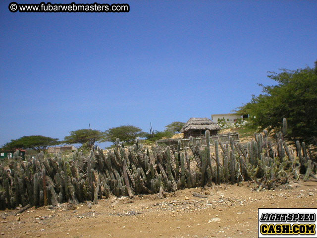 Bonaire Snorkeling 2003