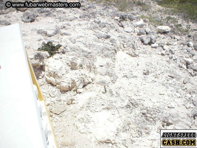 Bonaire Snorkeling 2003