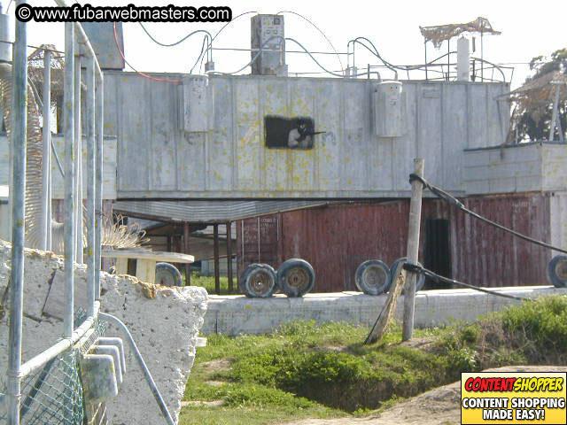 Extreme Webmaster Paintball Wars 2004