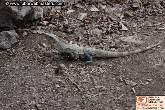 Chichen-Itza Tour 2004