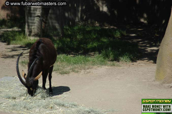 The Heavy Petting Zoo Tour 2004