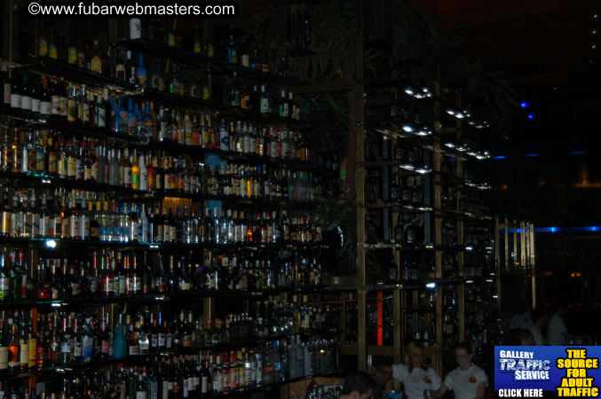 The Jungle Bash 2005