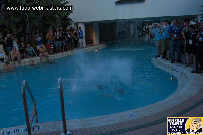 PureCash Belly Flop Contest 2004