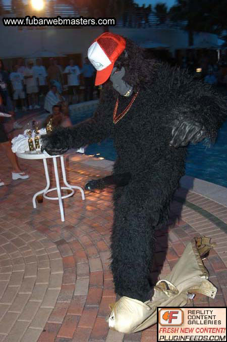 PureCash Belly Flop Contest 2004