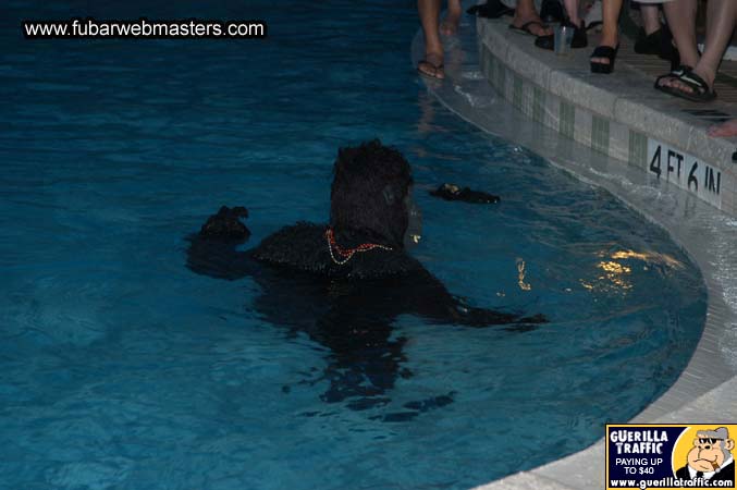 PureCash Belly Flop Contest 2004