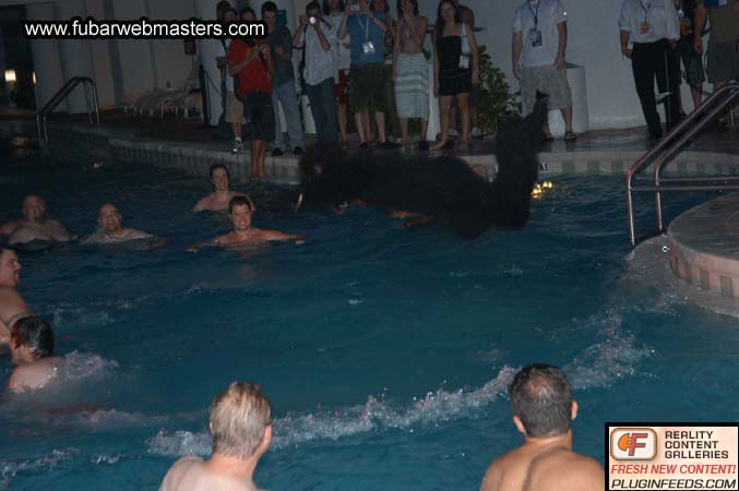 PureCash Belly Flop Contest 2004