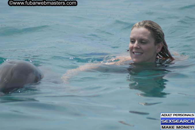 Local Billing Dolphin Encounter and Swim 2005