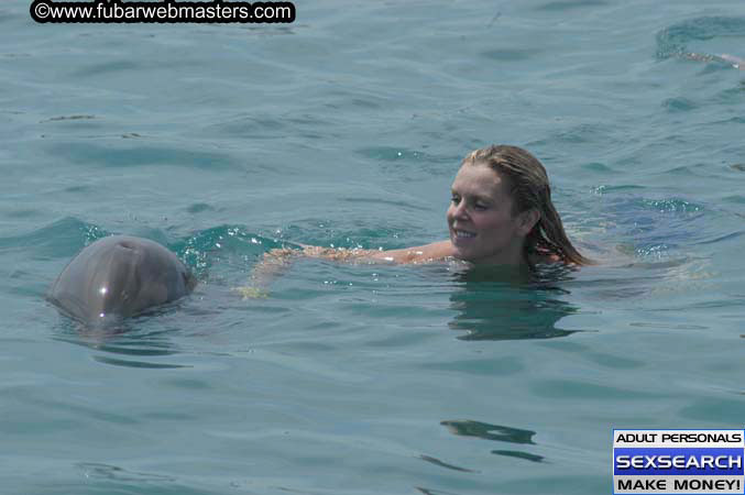 Local Billing Dolphin Encounter and Swim 2005