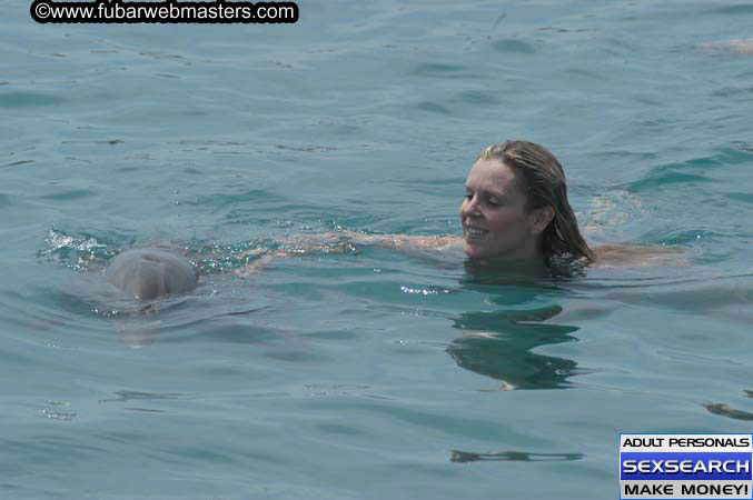 Local Billing Dolphin Encounter and Swim 2005