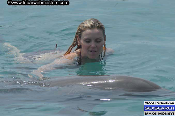 Local Billing Dolphin Encounter and Swim 2005