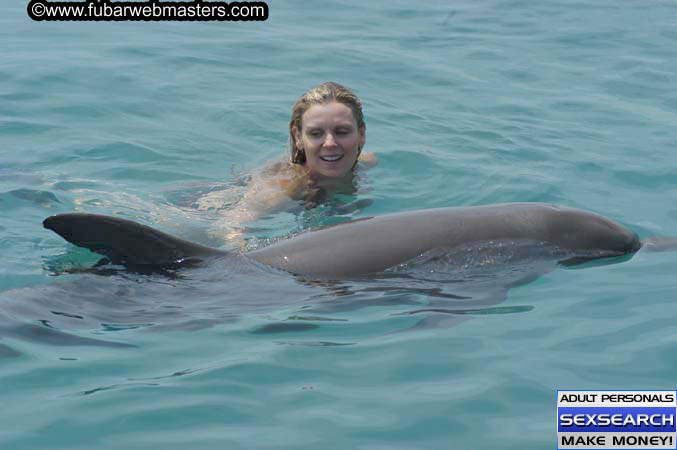 Local Billing Dolphin Encounter and Swim 2005