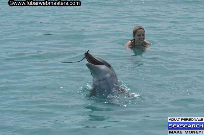 Local Billing Dolphin Encounter and Swim 2005