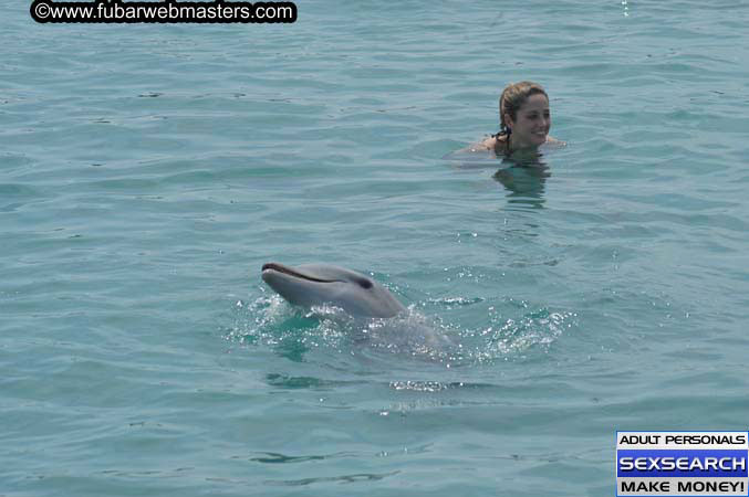 Local Billing Dolphin Encounter and Swim 2005