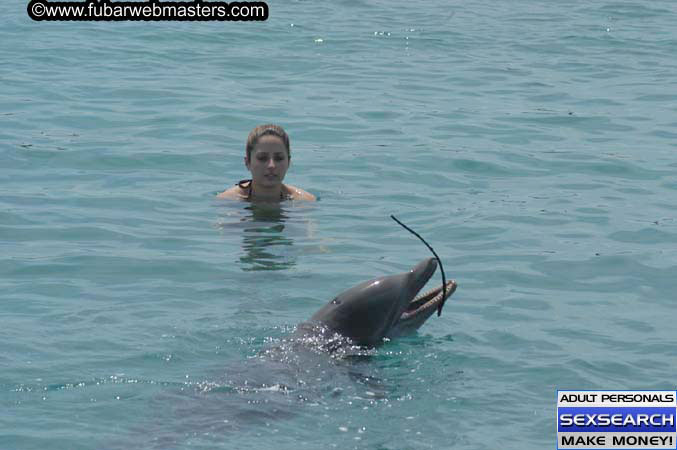 Local Billing Dolphin Encounter and Swim 2005