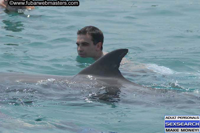 Local Billing Dolphin Encounter and Swim 2005