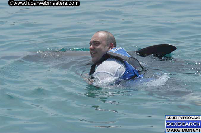 Local Billing Dolphin Encounter and Swim 2005