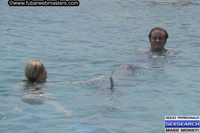 Local Billing Dolphin Encounter and Swim 2005