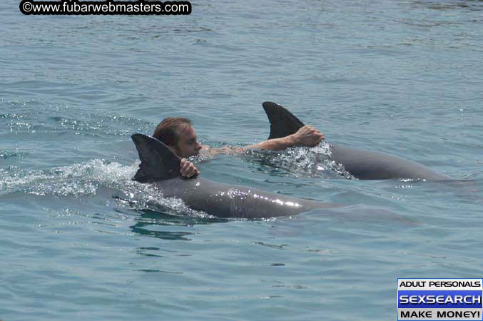 Local Billing Dolphin Encounter and Swim 2005