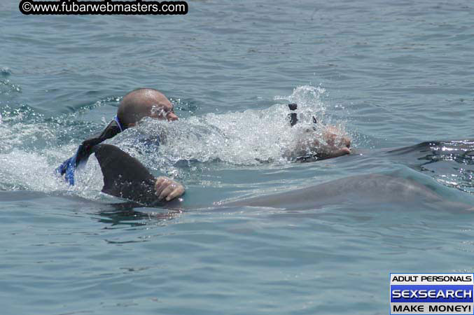 Local Billing Dolphin Encounter and Swim 2005