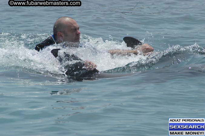 Local Billing Dolphin Encounter and Swim 2005