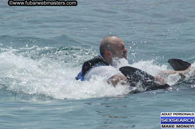 Local Billing Dolphin Encounter and Swim 2005