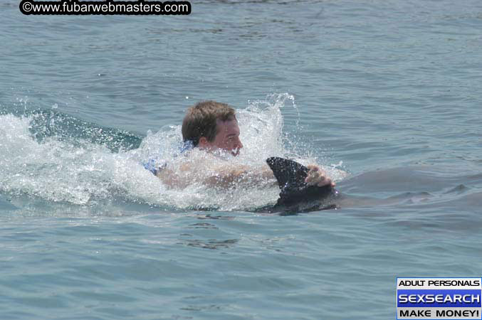 Local Billing Dolphin Encounter and Swim 2005