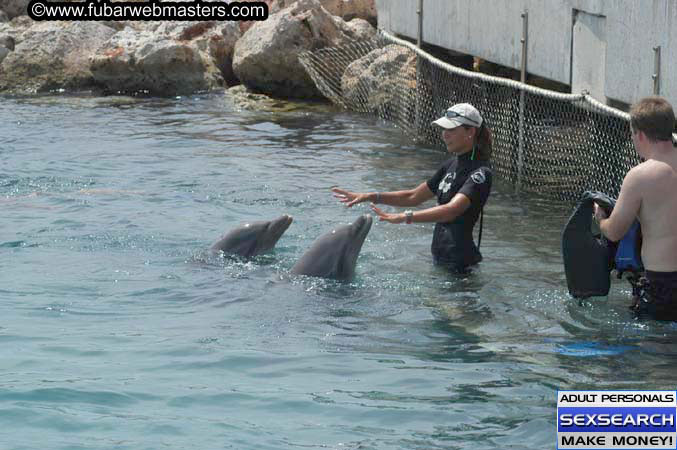 Local Billing Dolphin Encounter and Swim 2005