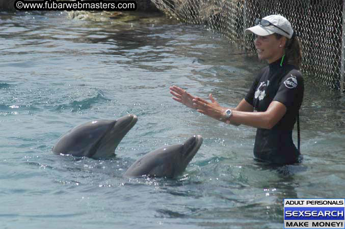 Local Billing Dolphin Encounter and Swim 2005