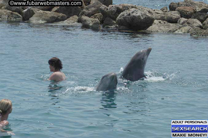 Local Billing Dolphin Encounter and Swim 2005