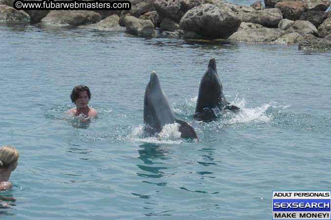 Local Billing Dolphin Encounter and Swim 2005