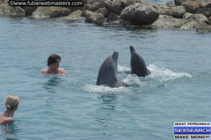 Local Billing Dolphin Encounter and Swim 2005