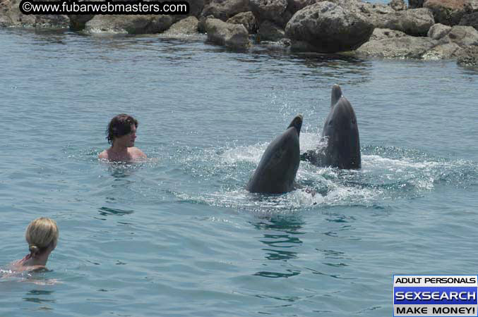 Local Billing Dolphin Encounter and Swim 2005