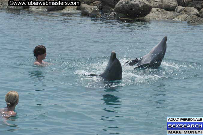 Local Billing Dolphin Encounter and Swim 2005