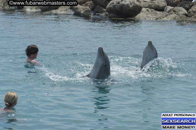 Local Billing Dolphin Encounter and Swim 2005