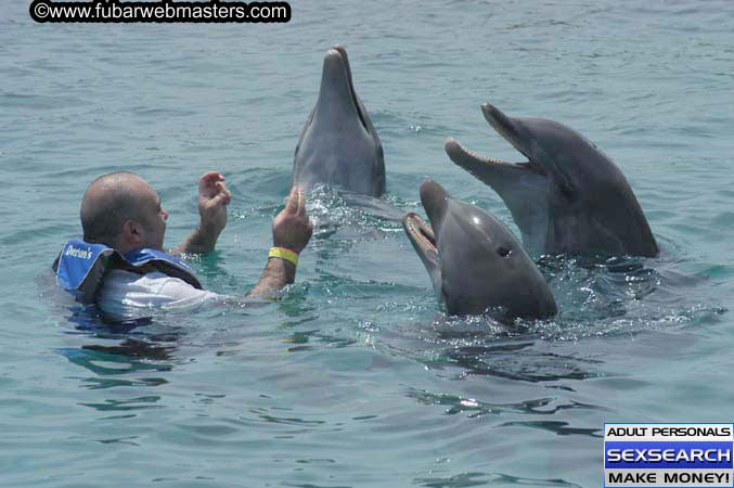 Local Billing Dolphin Encounter and Swim 2005