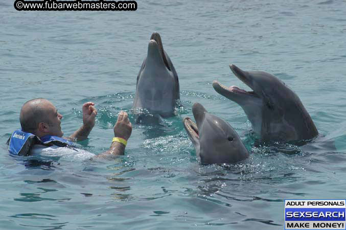 Local Billing Dolphin Encounter and Swim 2005