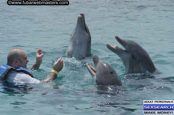 Local Billing Dolphin Encounter and Swim 2005