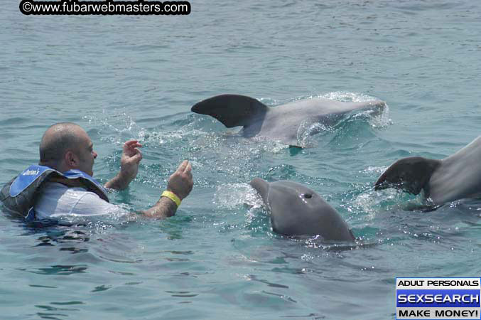 Local Billing Dolphin Encounter and Swim 2005