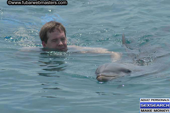 Local Billing Dolphin Encounter and Swim 2005