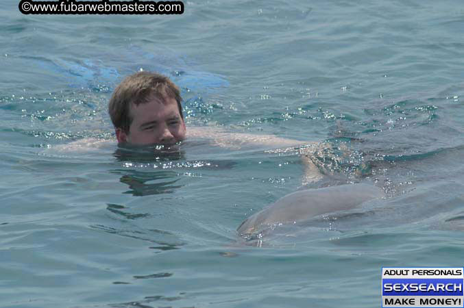 Local Billing Dolphin Encounter and Swim 2005